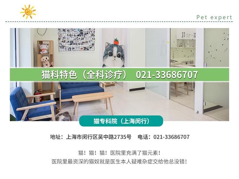 上海宠物医院