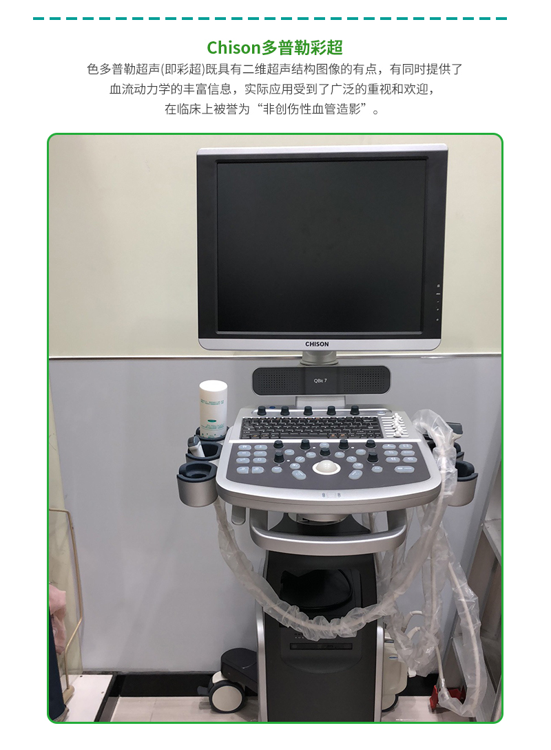 上海宠物医院