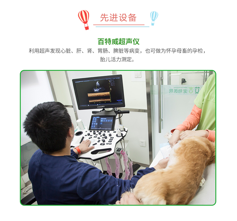 上海宠物诊所