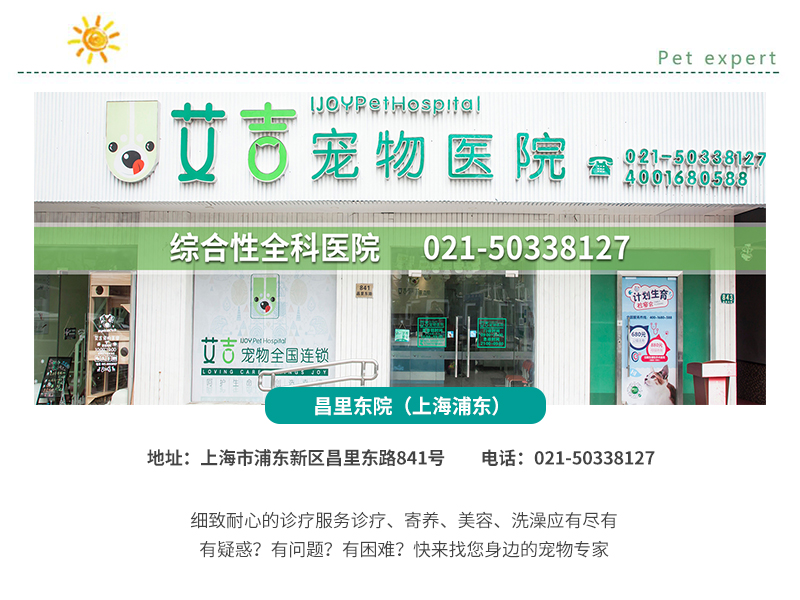 上海宠物诊所