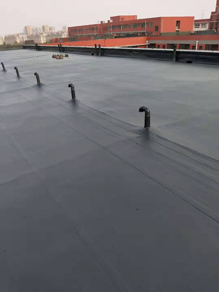 淄博实验中学屋顶应用聚脲材料