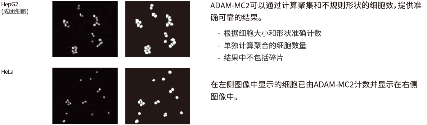 ADAM-MC2自动细胞计数仪的新标准