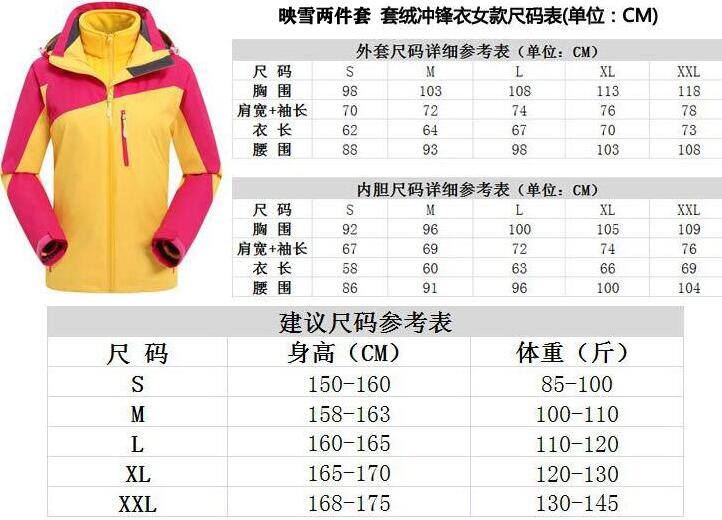 新款女式?jīng)_鋒衣