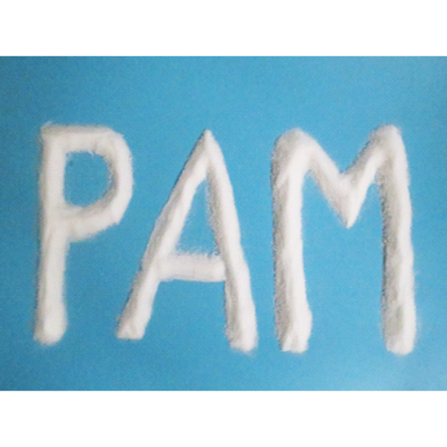 聚丙烯酰胺(PAM)