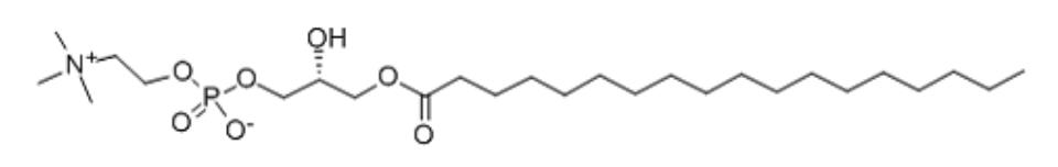 硬脂酰溶血卵磷脂,產(chǎn)品信息