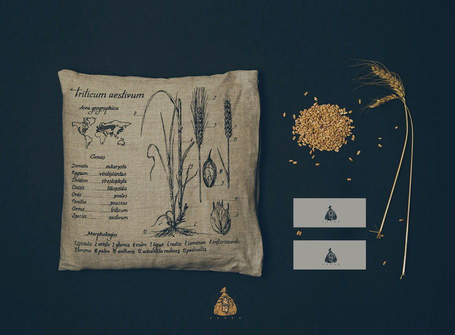 任您躁水蜜桃code视频