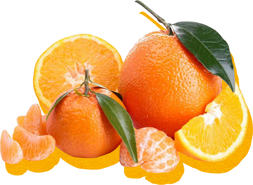 橘之寶