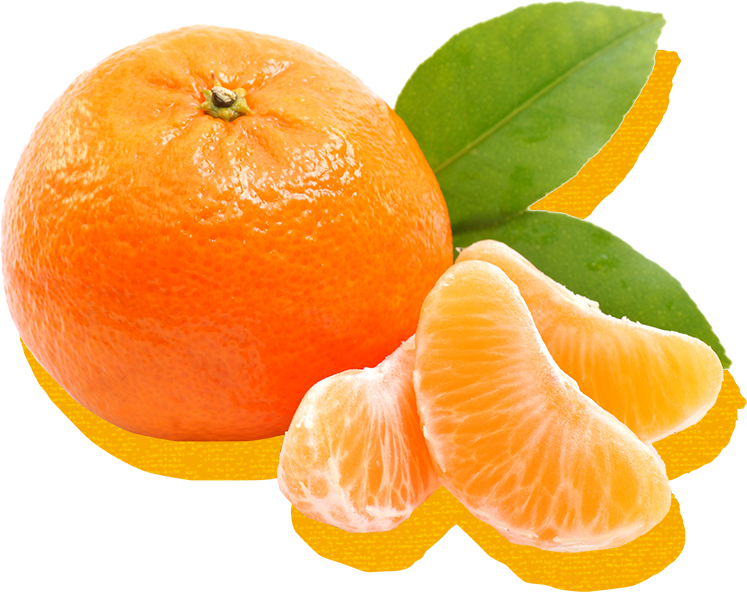 橘之寶