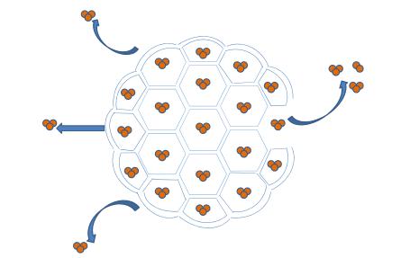 【藥用輔料】合成磷脂在緩釋多囊脂質(zhì)體制備中的重要性-艾偉拓(上海)醫(yī)藥科技有限公司 【藥用輔料】合成磷脂在緩釋多囊脂質(zhì)體制備中的重要性-艾偉拓(上海)醫(yī)藥科技有限公司