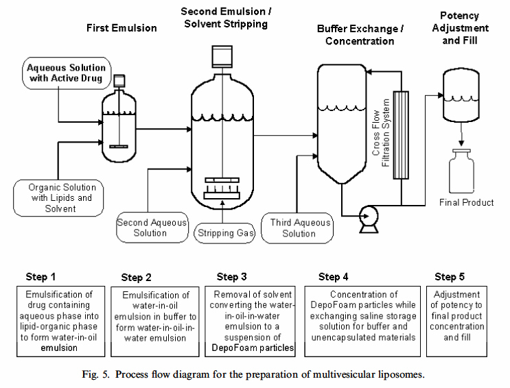 布比卡因脂質(zhì)體注射混懸液