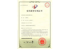 專(zhuān)利成果