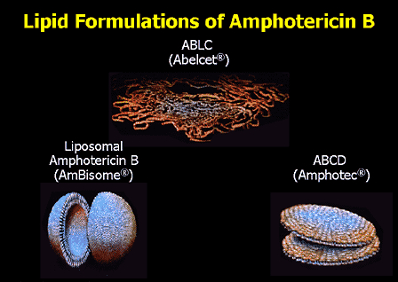 兩性霉素B脂質(zhì)復(fù)合物,脂質(zhì)體