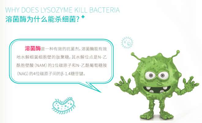 诺威-溶菌酶乙醇消毒液，AVT给您解析溶菌酶如何杀灭细菌-艾伟拓（上海）医药科技有限公司