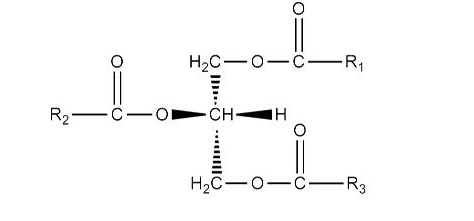 乳劑分析淺談系列（8）——游離脂肪酸