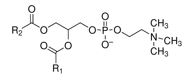 乳劑分析淺談系列（8）——游離脂肪酸