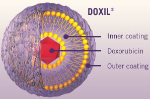 鹽酸多柔吡星脂質(zhì)體,脂質(zhì)體