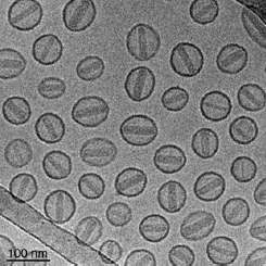 鹽酸多柔吡星脂質(zhì)體,脂質(zhì)體