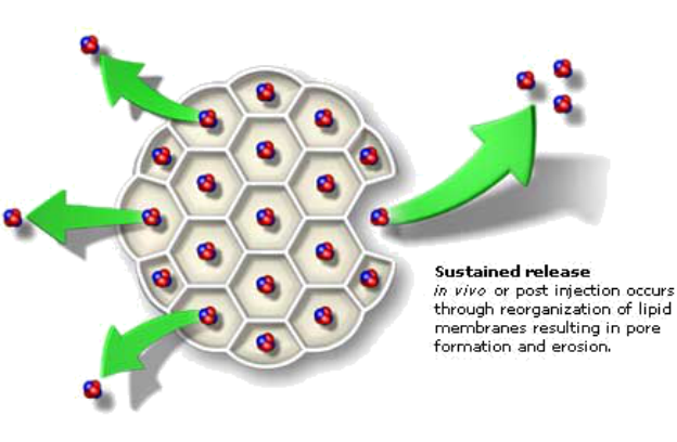 布比卡因系列：EXPAREL制剂分析-艾伟拓（上海）医药科技有限公司