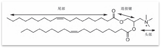 DOTAP--脂質體制備中使用*多的陽離子脂質材料-艾偉拓（上海）醫藥科技有限公司