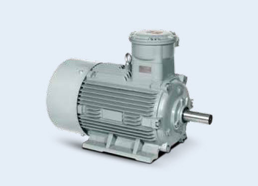 1MT0001系列防爆電機