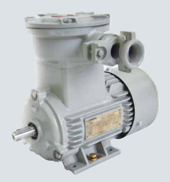 1MB0061系列防爆電機