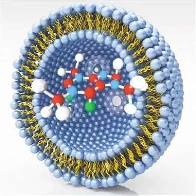 AVT與您共同解析：脂質(zhì)體藥物的那些事兒-艾偉拓（上海）醫(yī)藥科技有限公司