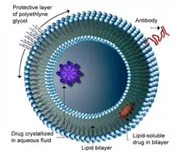 AVT與您共同解析：脂質(zhì)體藥物的那些事兒-艾偉拓（上海）醫(yī)藥科技有限公司