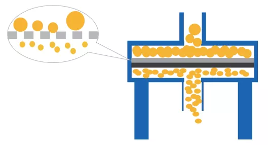 AVT與您共同解析：脂質(zhì)體藥物的那些事兒-艾偉拓（上海）醫(yī)藥科技有限公司
