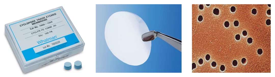 AVT與您共同解析：脂質(zhì)體藥物的那些事兒-艾偉拓（上海）醫(yī)藥科技有限公司