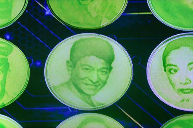 螺旋藻概念生物畫