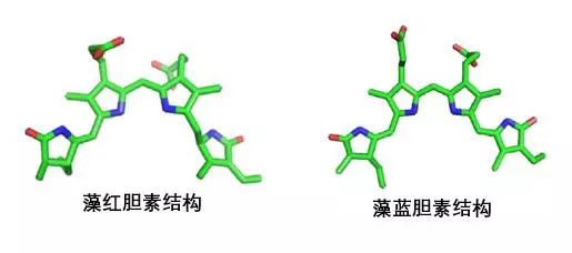 藻藍(lán)/藻紅膽素結(jié)構(gòu)