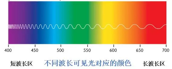 藻藍(lán)蛋白不同波長(zhǎng)可見光對(duì)應(yīng)顏色