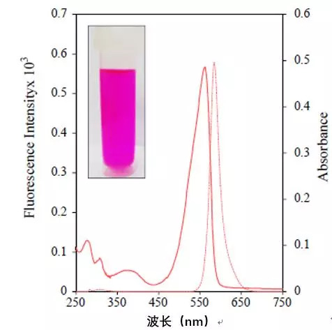 藻紅蛋白的吸光特性及熒光特性