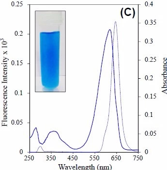 藻藍(lán)蛋白的吸光和熒光特性曲線