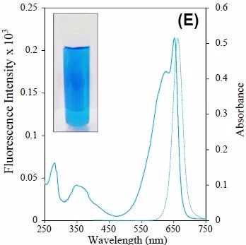 別藻藍(lán)蛋白的吸光和熒光特性曲線
