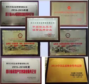 四川力寶企業(yè)管理有限公司 四川力寶企業(yè)管理有限公司