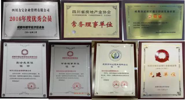 四川力寶企業(yè)管理有限公司 四川力寶企業(yè)管理有限公司