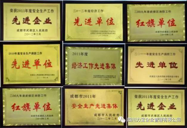 四川力寶企業(yè)管理有限公司 四川力寶企業(yè)管理有限公司