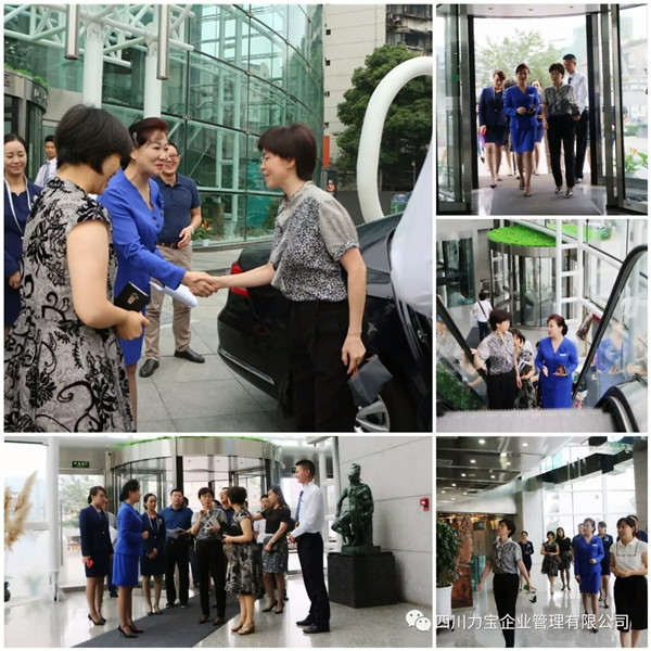 武侯區(qū)委組織部陳音部長一行蒞臨[力寶大廈]調(diào)研！