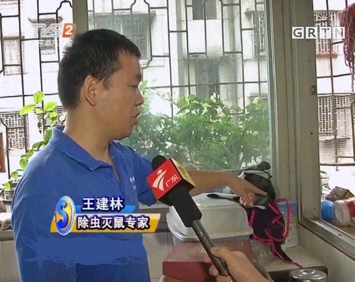 深圳杀虫灭鼠公司 深圳杀虫灭鼠公司