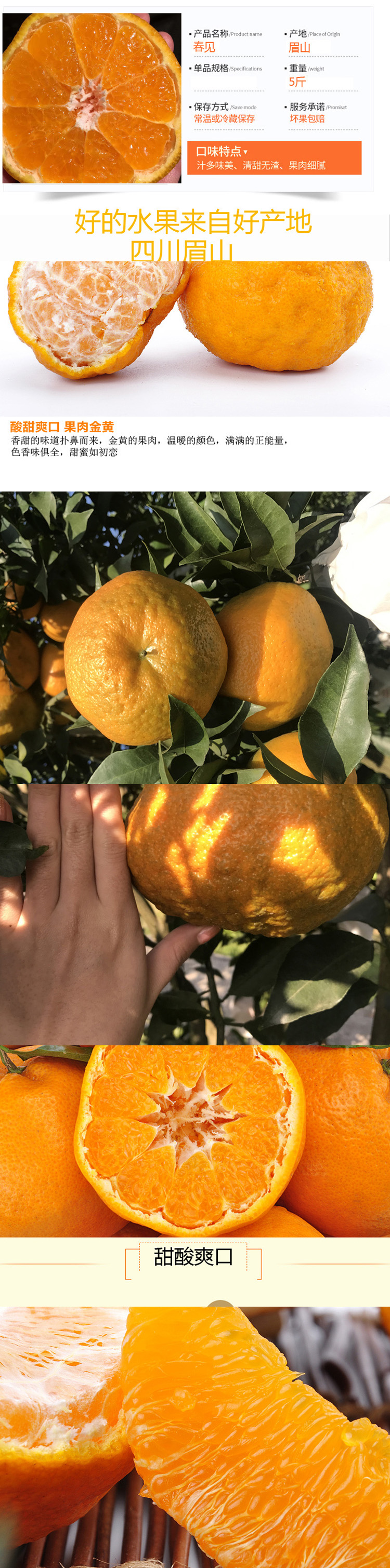 耙耙柑(春见) 耙耙柑(春见)