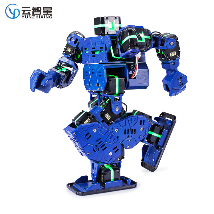 智能人形机器人