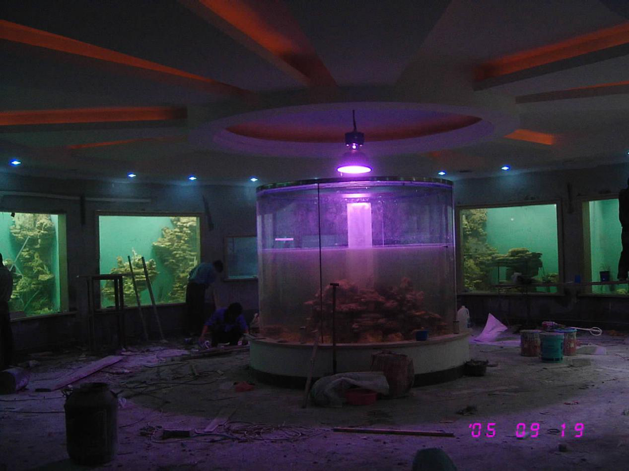水族馆设计建造之上海动物园水族馆设计建造完工十周年