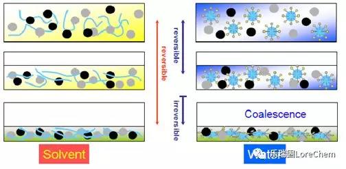 溶劑型和水基粘合劑在骨架表面成膜示意圖