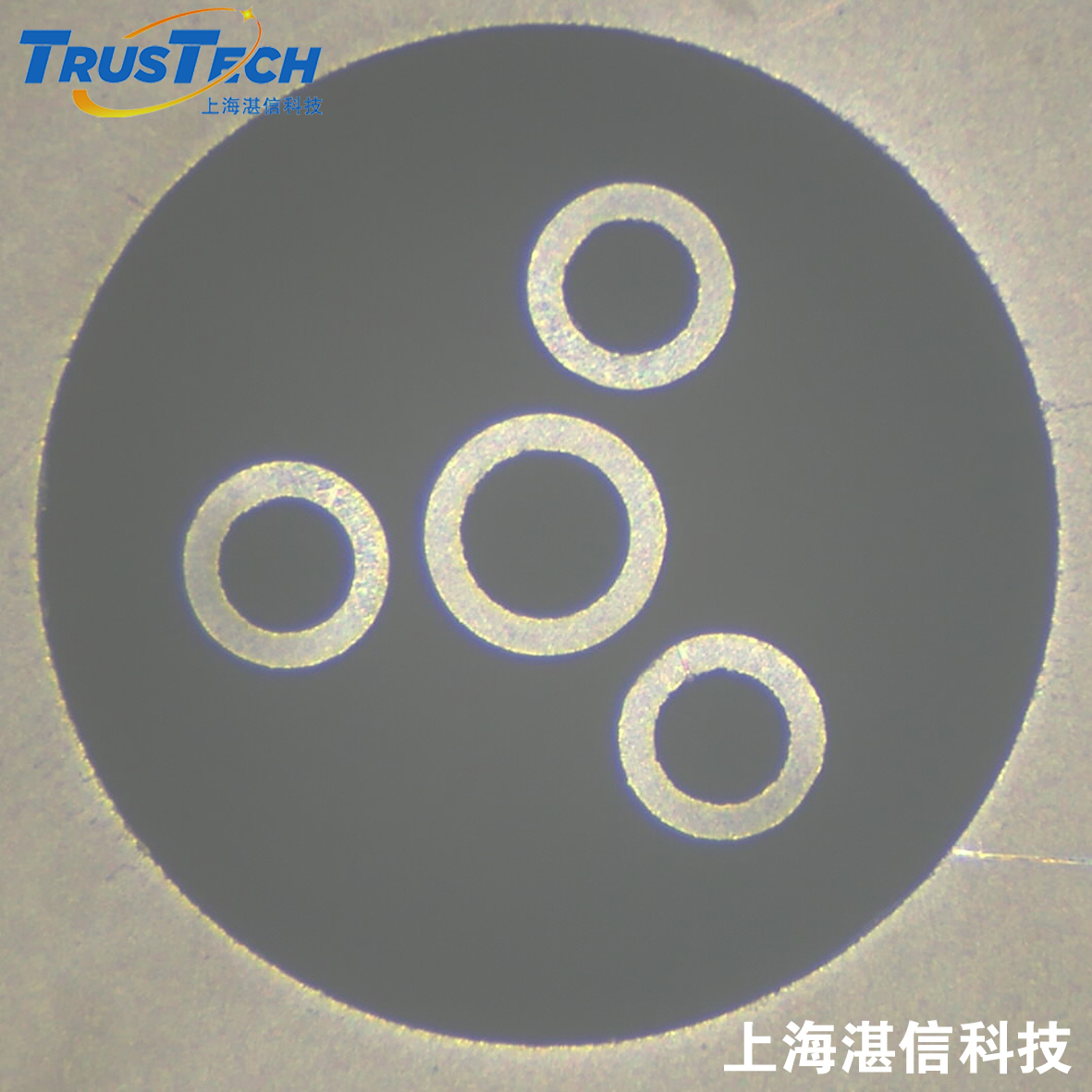 中空纖維膜噴絲頭