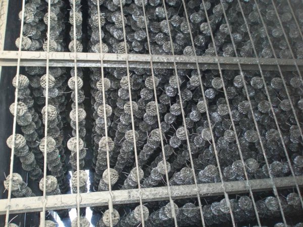 ZYZX系列高比表面积叠片展开式蜂窝状球形微生物载体