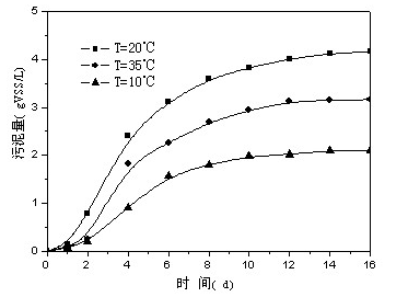 不同溫度下生物填料掛膜情況