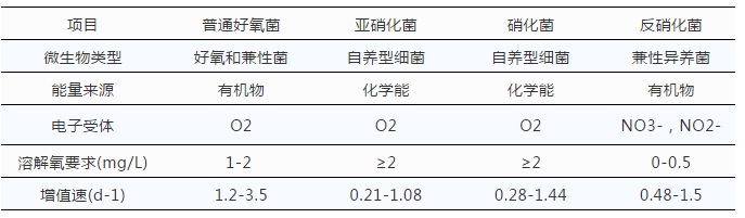 生物膜中各種微生物特征