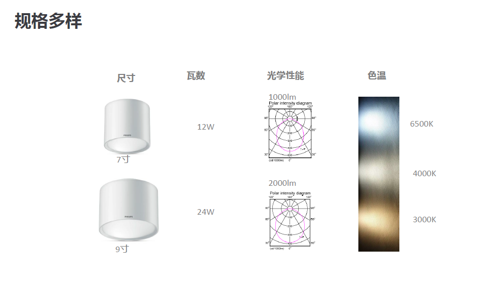 飛利浦明裝筒燈DN003C