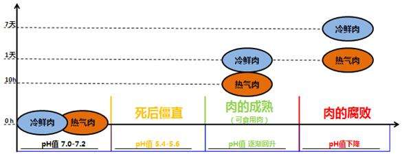 氣調保鮮包裝
